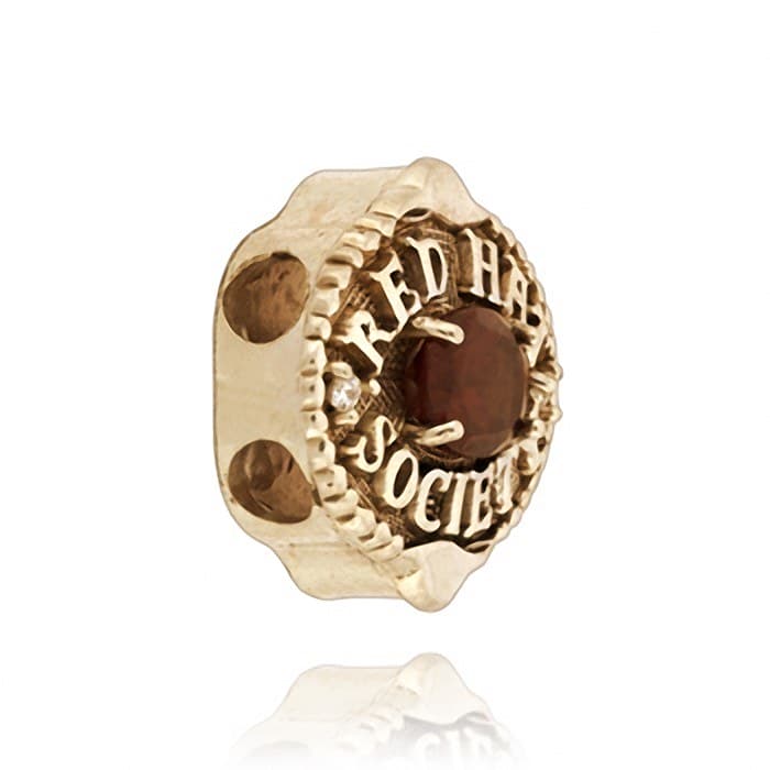 SL583D 14kt Yellow Gold Garnet and Diamond angle